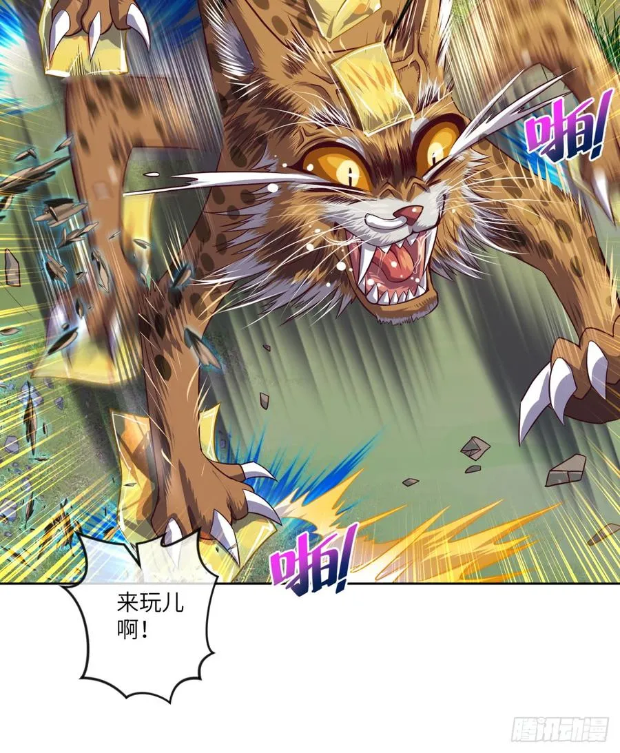 大猫咪~来玩撒! 第38页