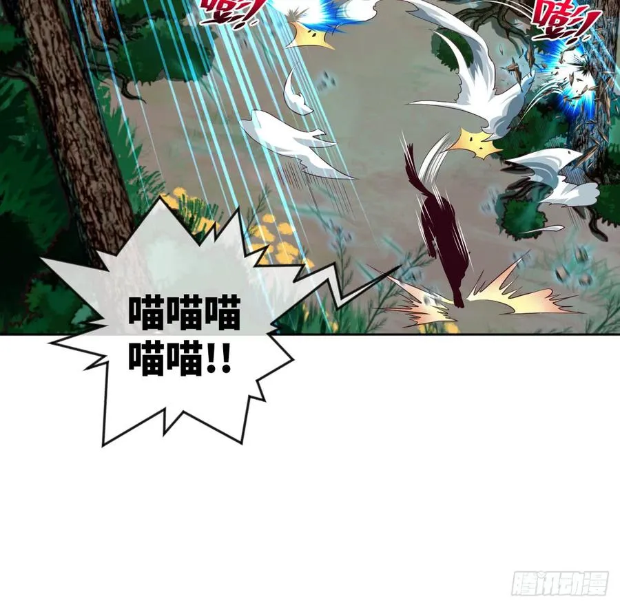 大猫咪~来玩撒! 第41页