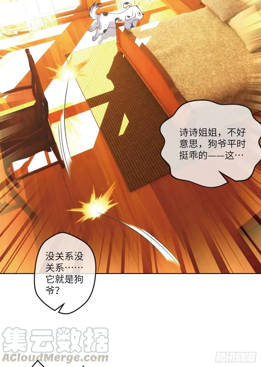 狗子,放下那个袋子 第34页