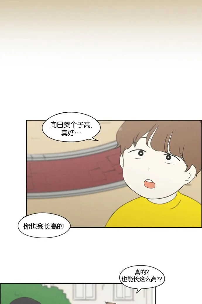 [第174话] Sunflower（1） 第39页