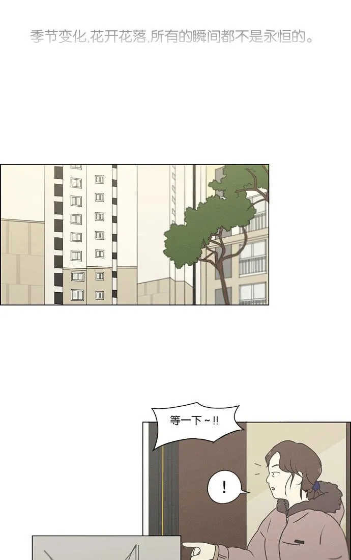 [第175话] Sunflower（2） 第47页