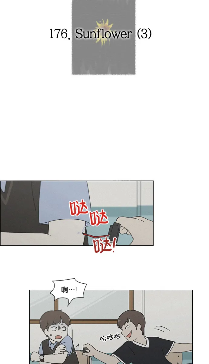 [第176话] Sunflower（3） 第19页