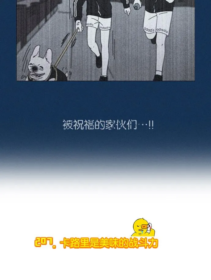 [第206话] 决心 第51页