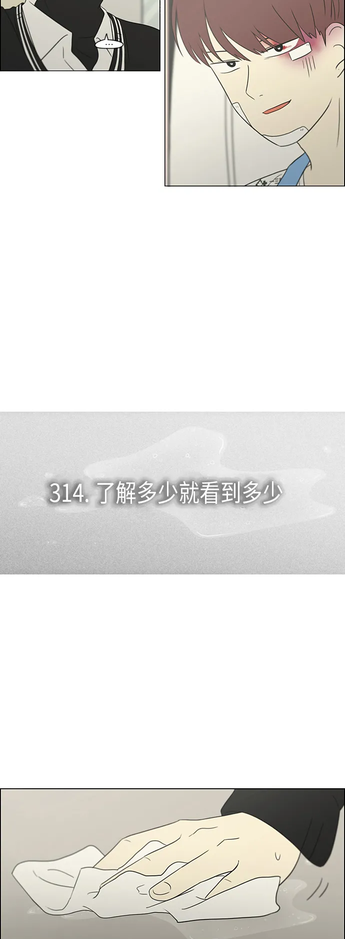 [第314话] 了解多少就看到多少 第4页