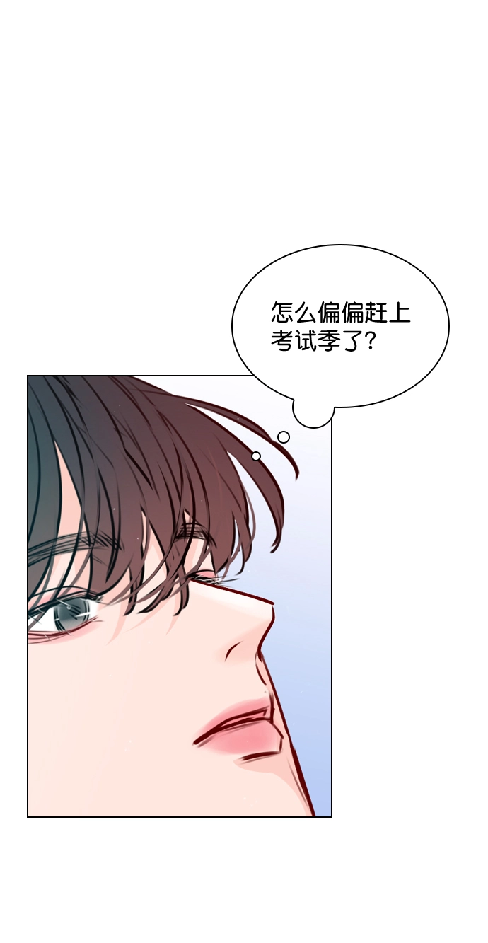 [第40话] 你就是珀黎吧？ 第12页