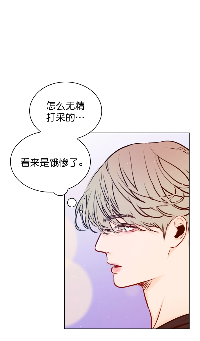 [第42话] 整理关系 第59页