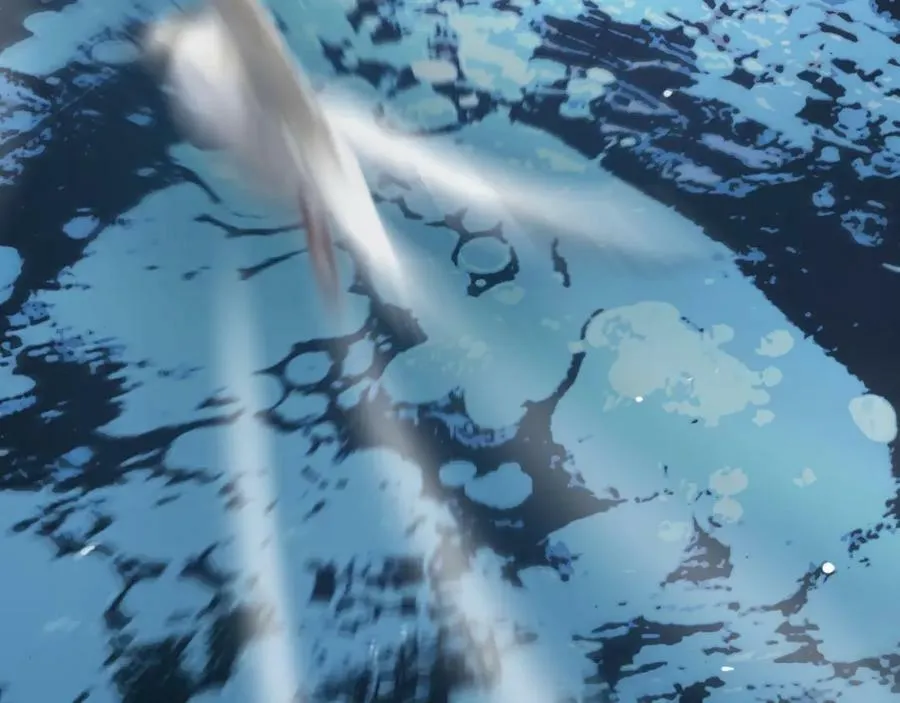 第208话 浩劫开端 第128页