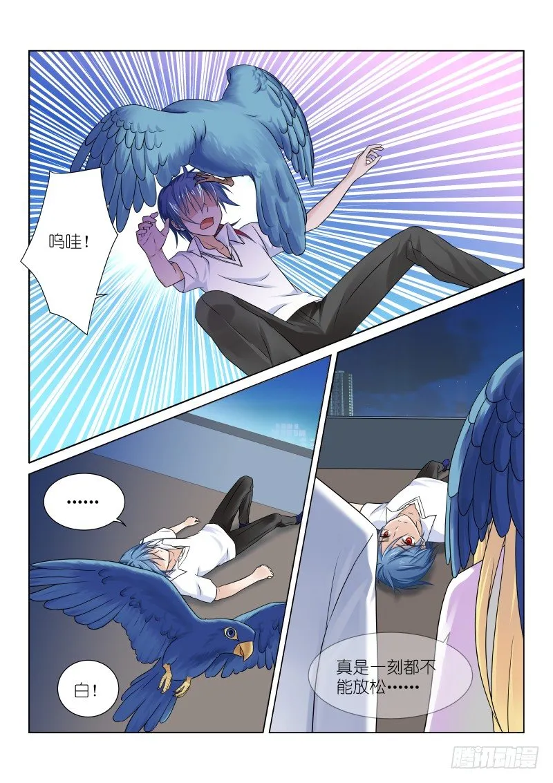 第十三幕：沈镜 第5页