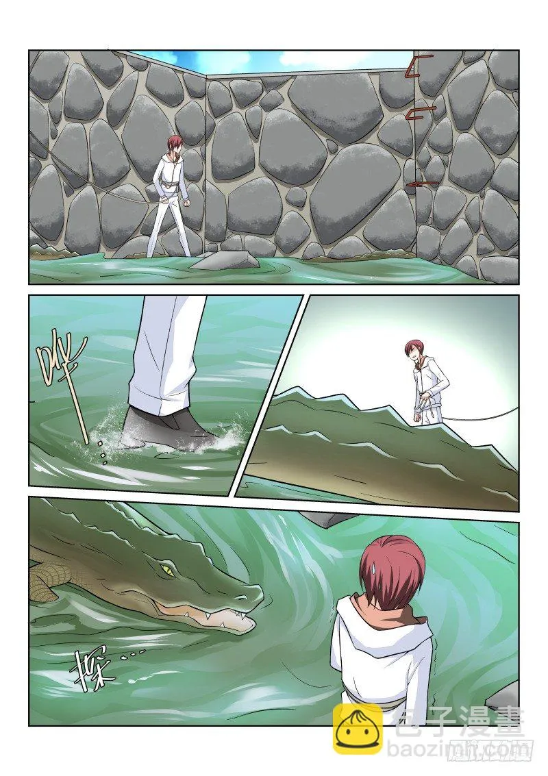 41-鳄鱼 第6页