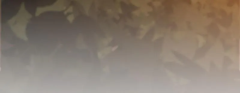 第二十五话 学生会的邀请 第161页