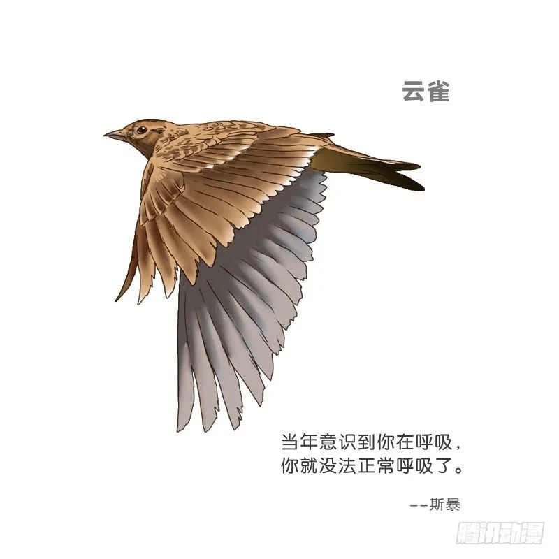 12公交车密会 第67页