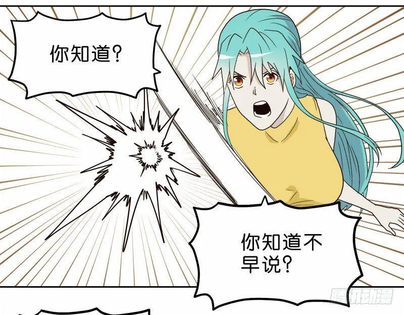11查看监控 第14页