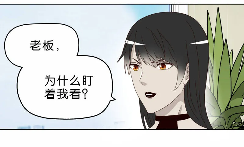 11查看监控 第43页