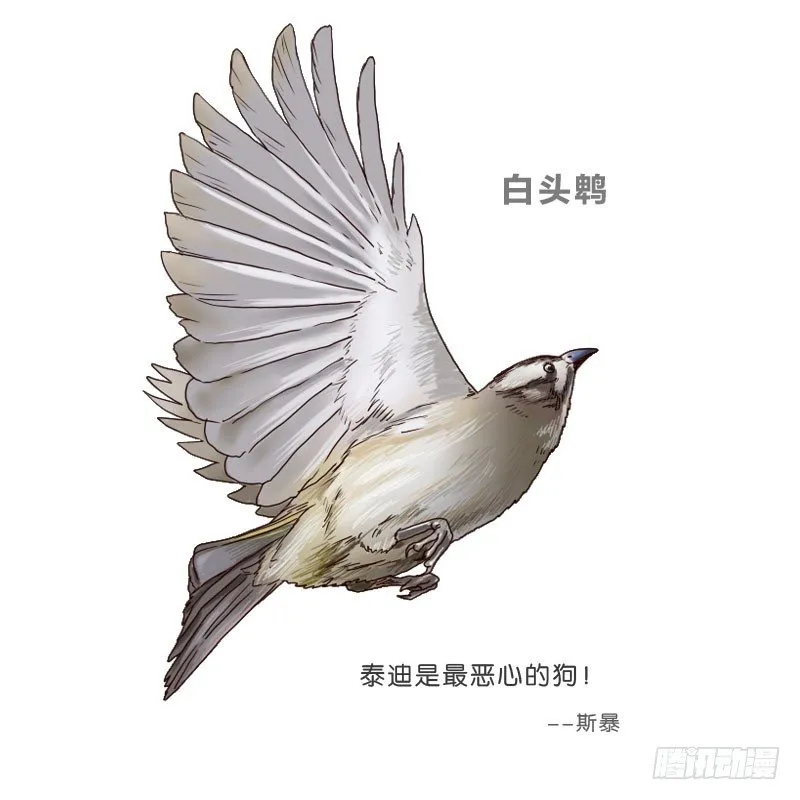 11查看监控 第65页