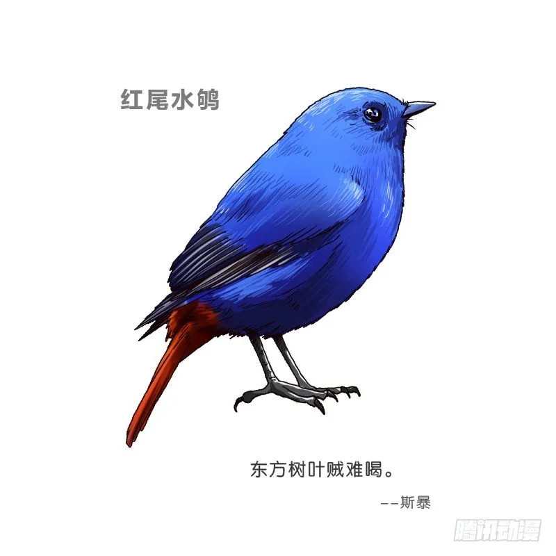 10网球相亲 第66页