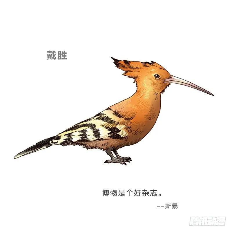 9试衣间偷窥 第72页
