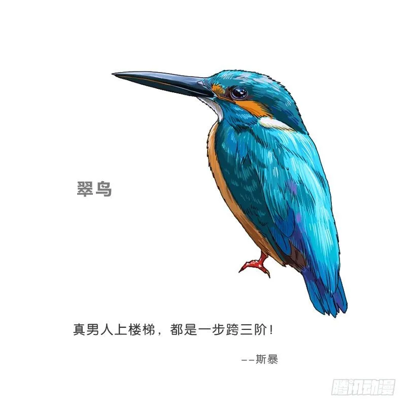 8女人的衣柜 第60页