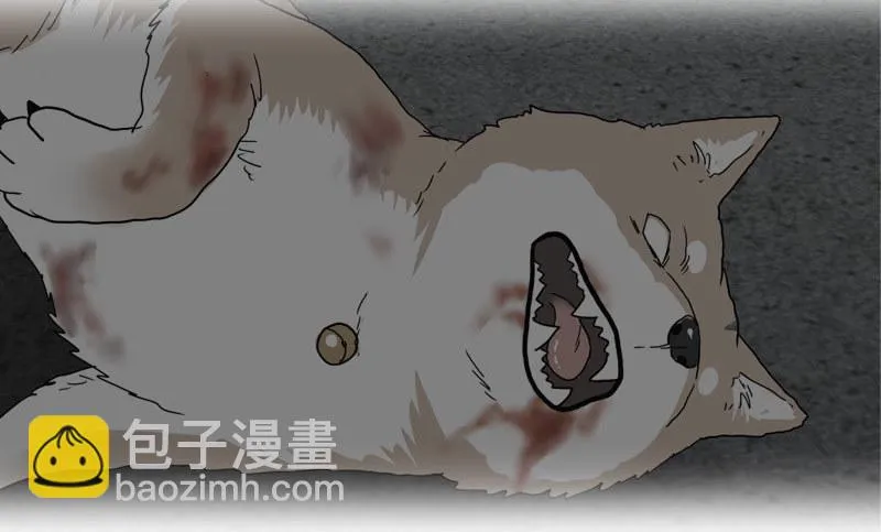 0预告 第4页
