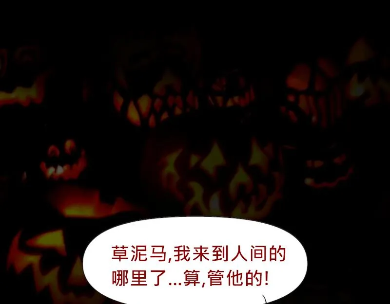 no.20 第41页
