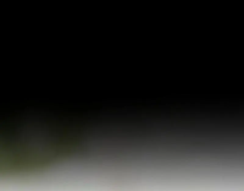 no.20 第89页