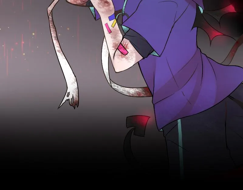 no.11 第14页