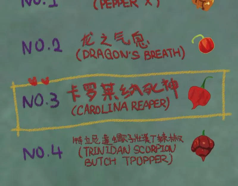 no.2 第12页