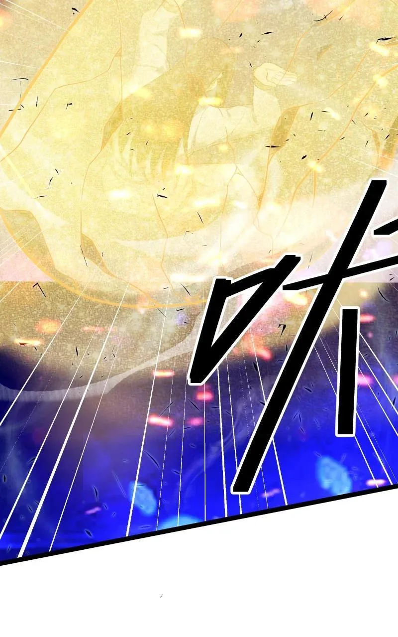 071 071 第3页