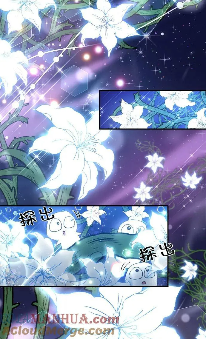第73话 第37页