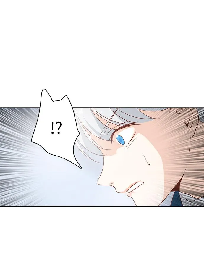 第84话 第43页