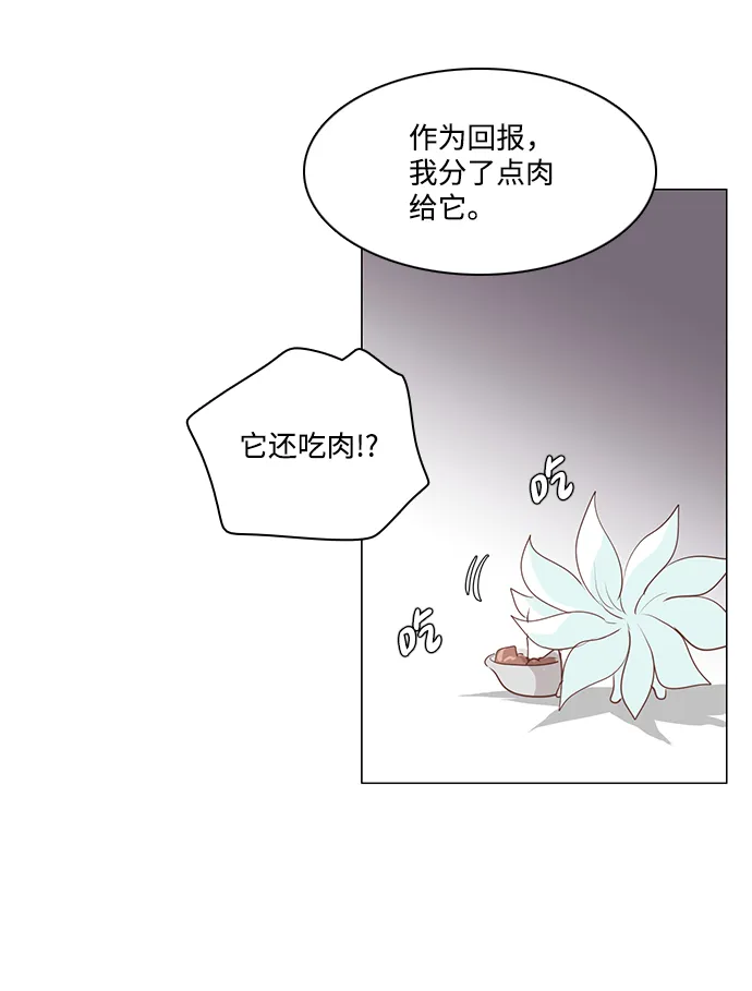第54话 第41页