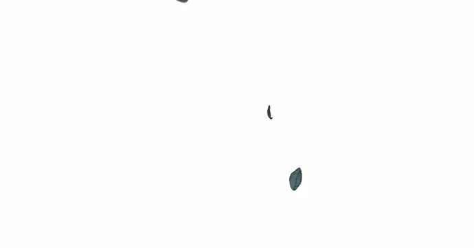 第33话 第70页