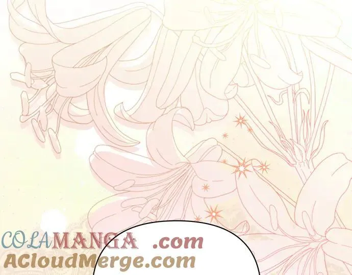 完结话 第25页
