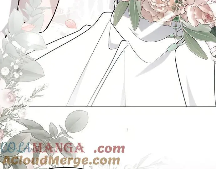 完结话 第221页