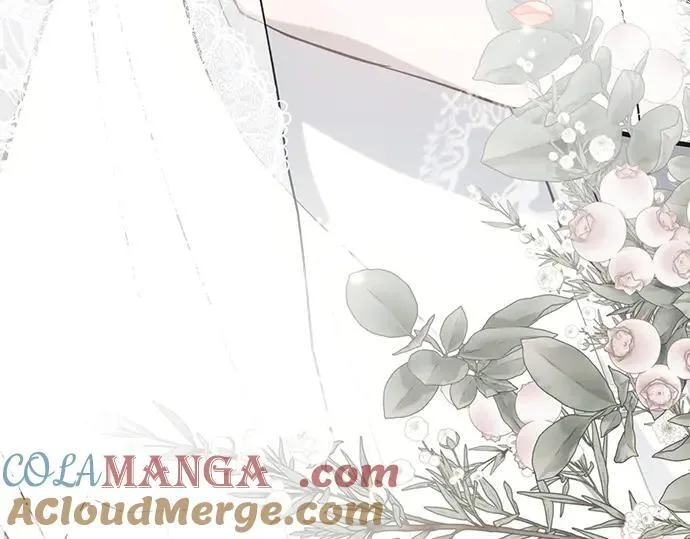 完结话 第245页