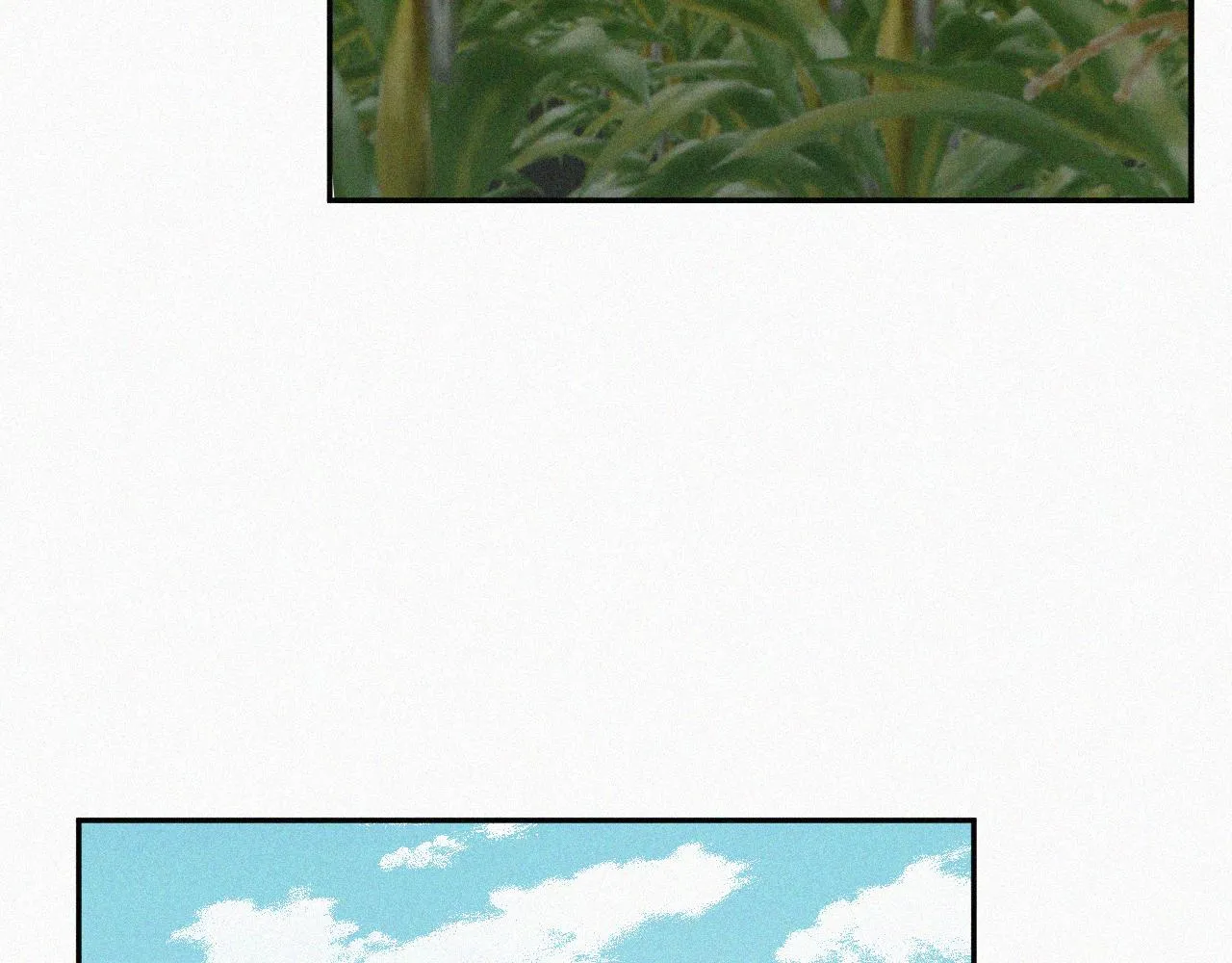 第二十九话 最初的起点 第5页