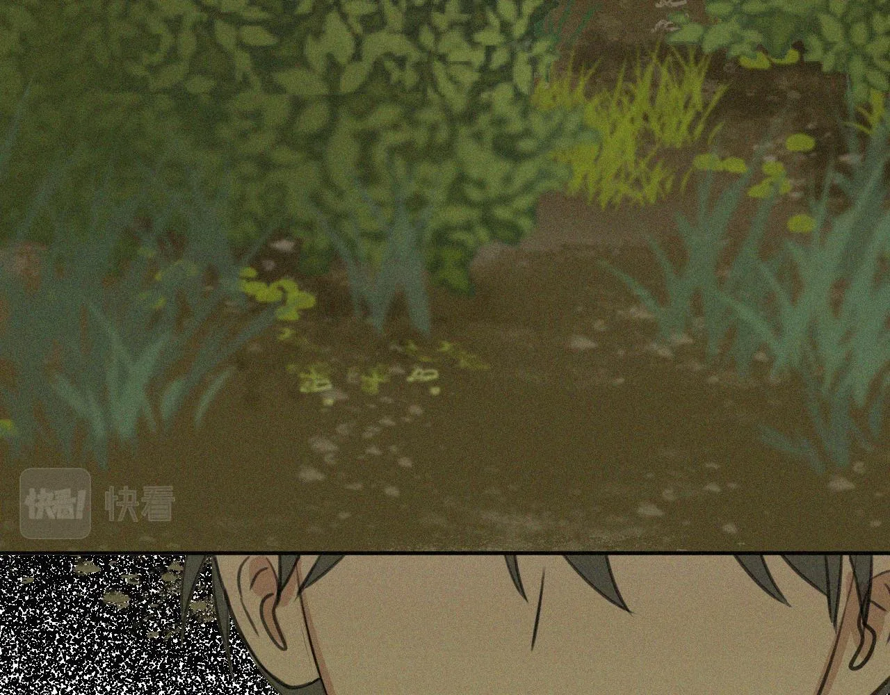 第十九话 救救它 第42页
