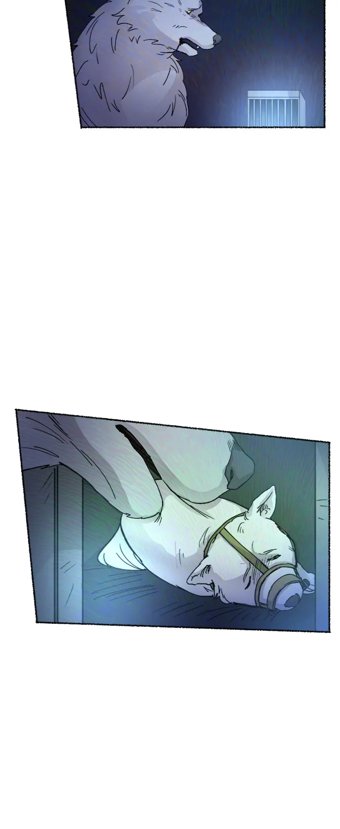 第74话 受伤的猛兽（3） 第104页
