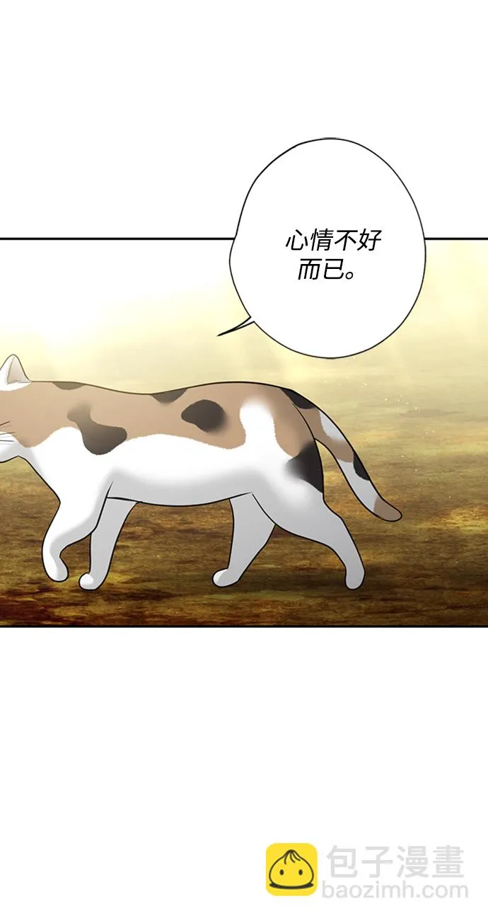 [第31话] 路易莎的秘密 第10页