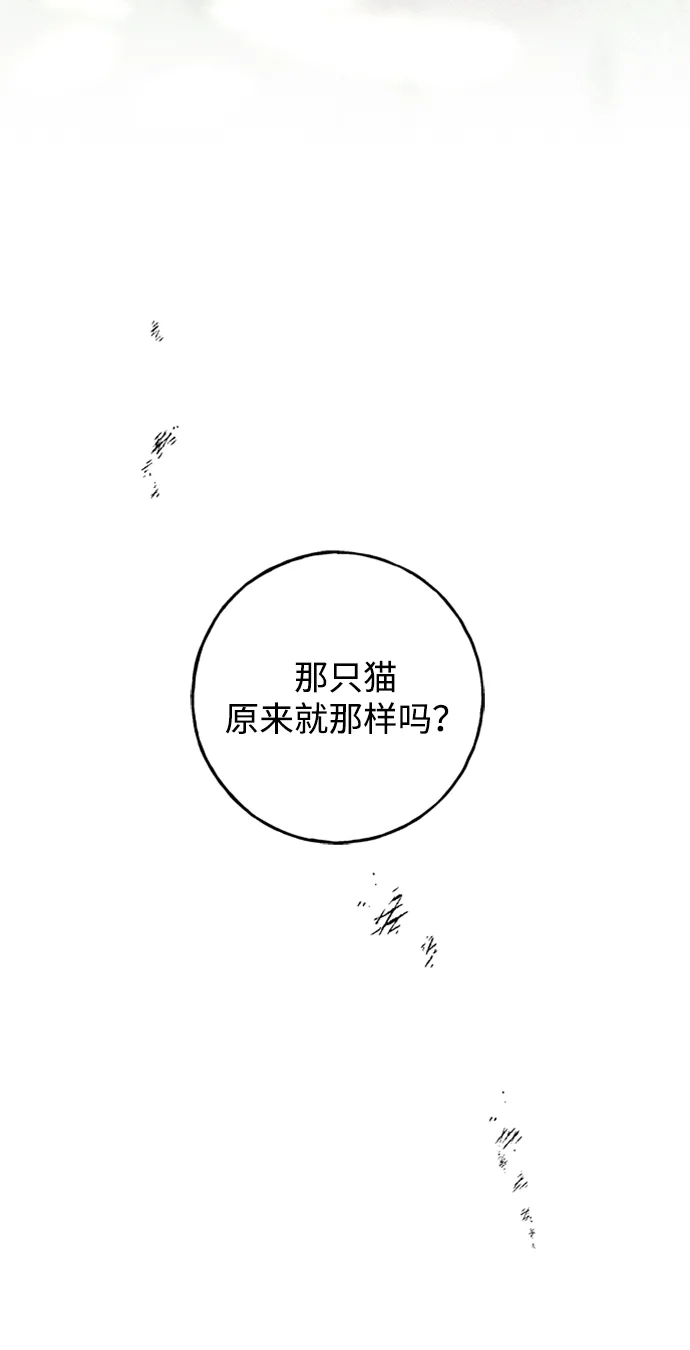 [第31话] 路易莎的秘密 第16页