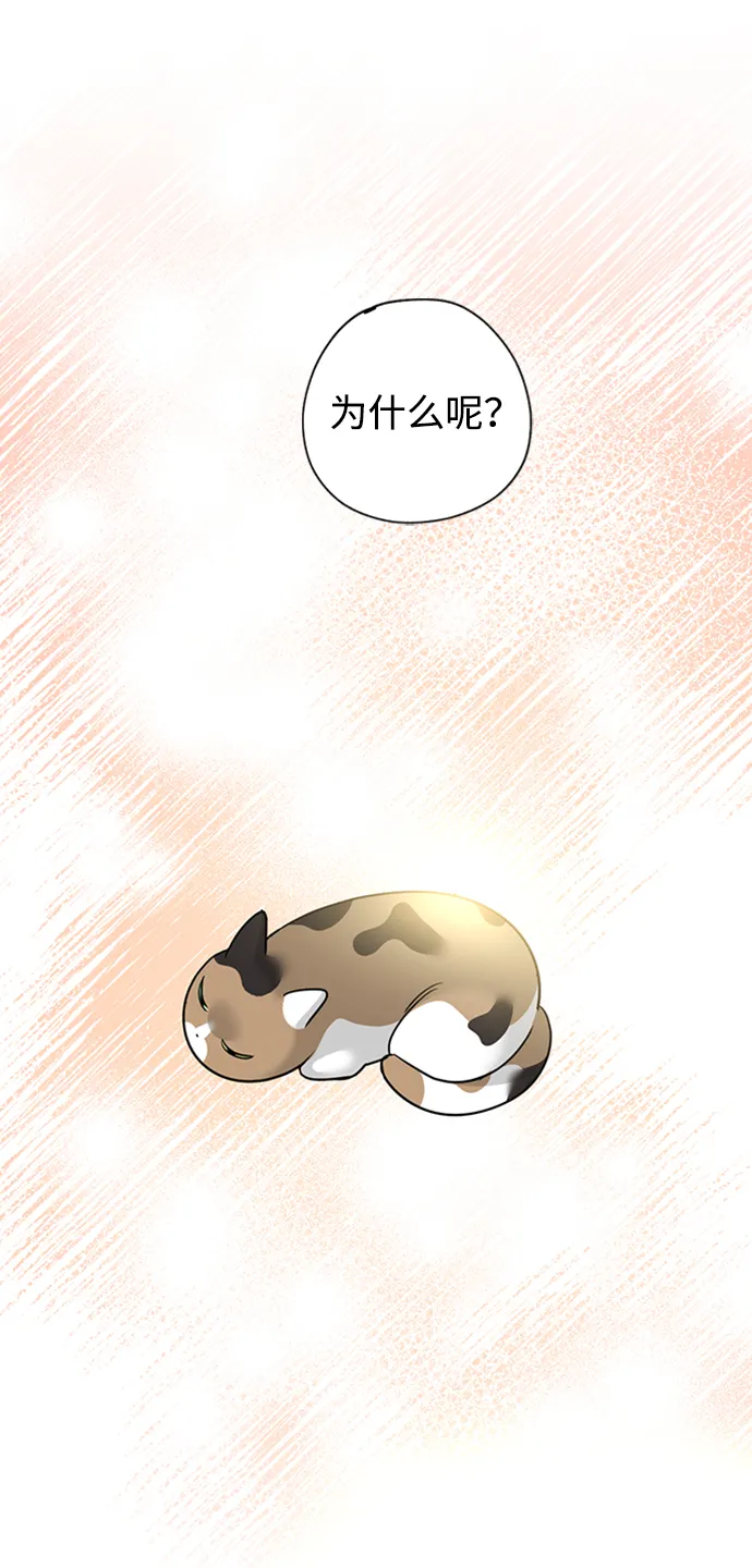 [第31话] 路易莎的秘密 第29页