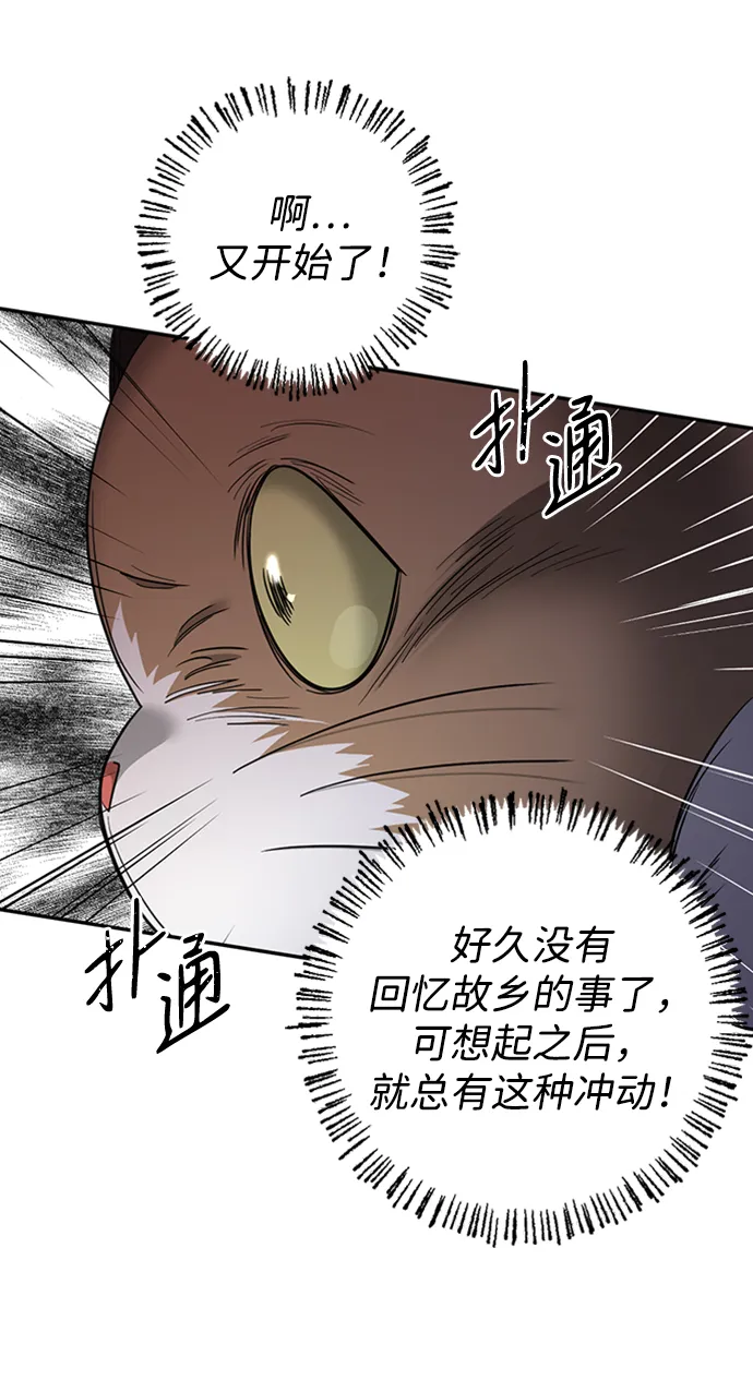 [第31话] 路易莎的秘密 第39页