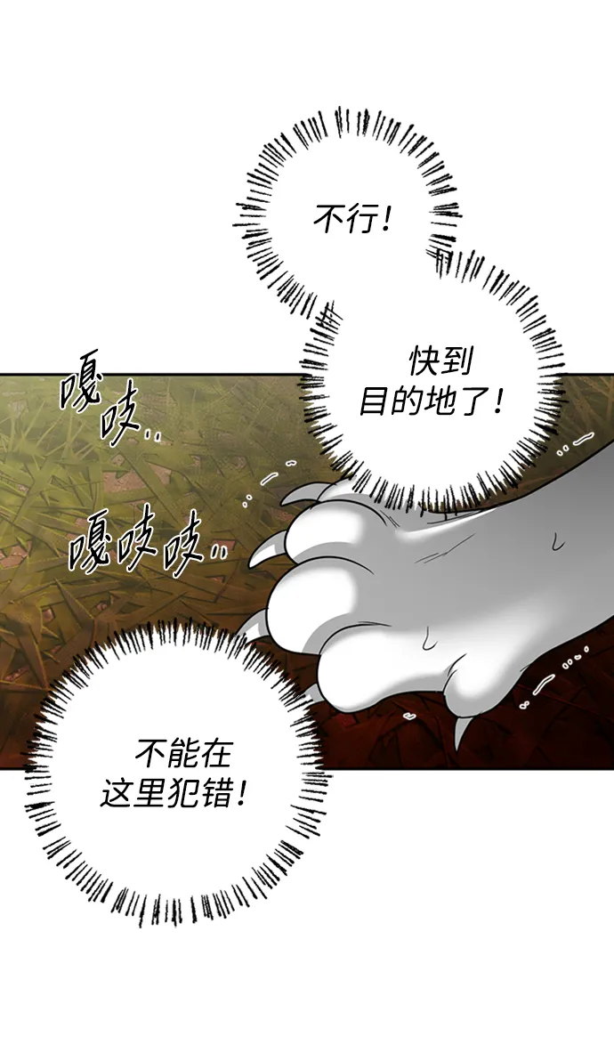 [第31话] 路易莎的秘密 第41页