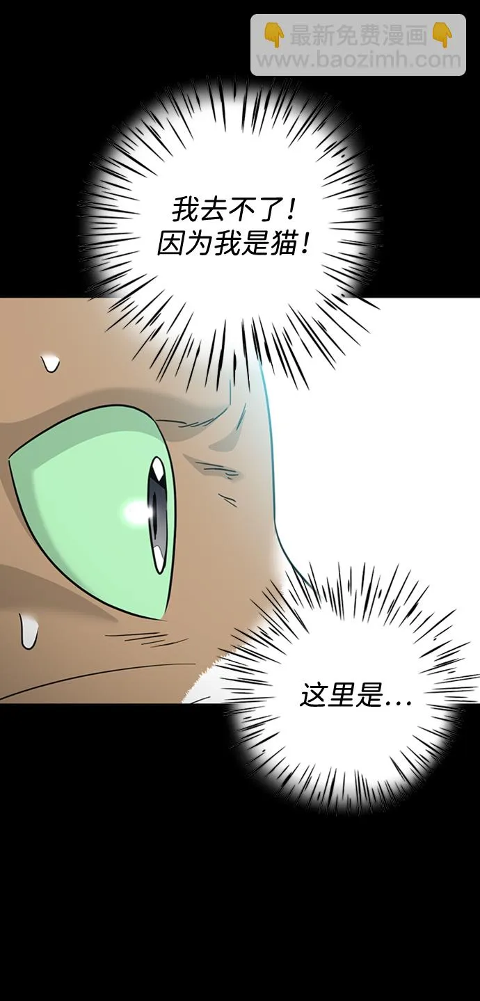 [第36话] 路易莎的秘密（2） 第42页