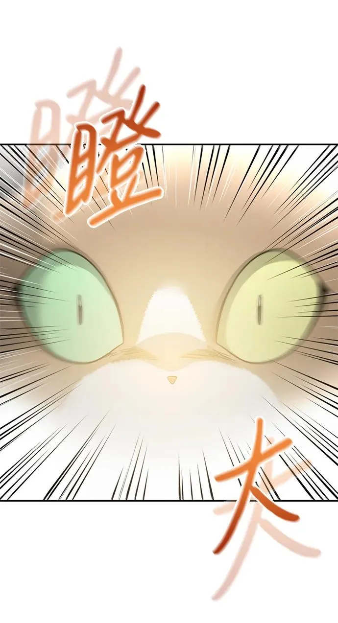[第46话] 最后一场战斗 第8页