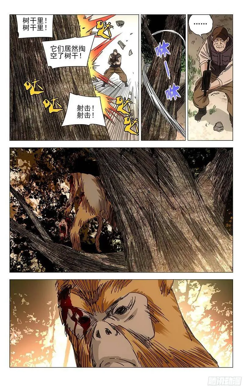 329 变异？的猴子 第12页