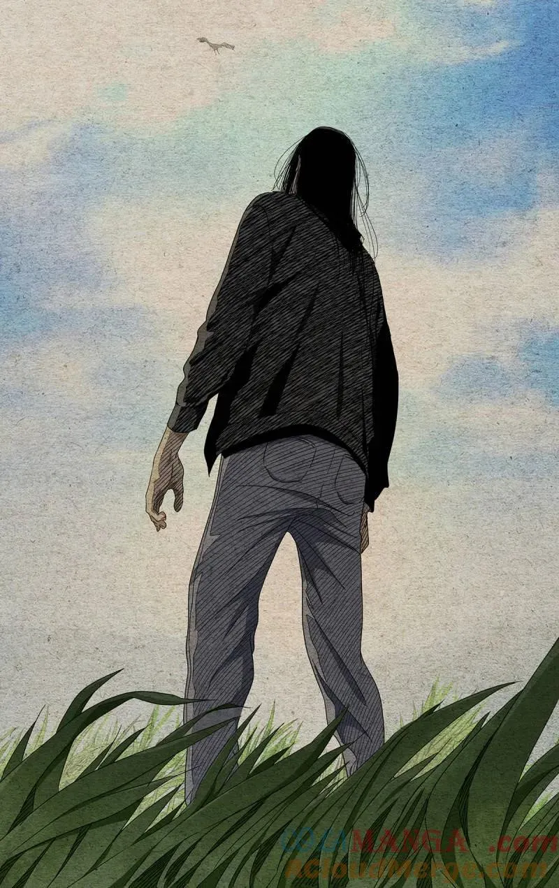 681 管不了 第11页