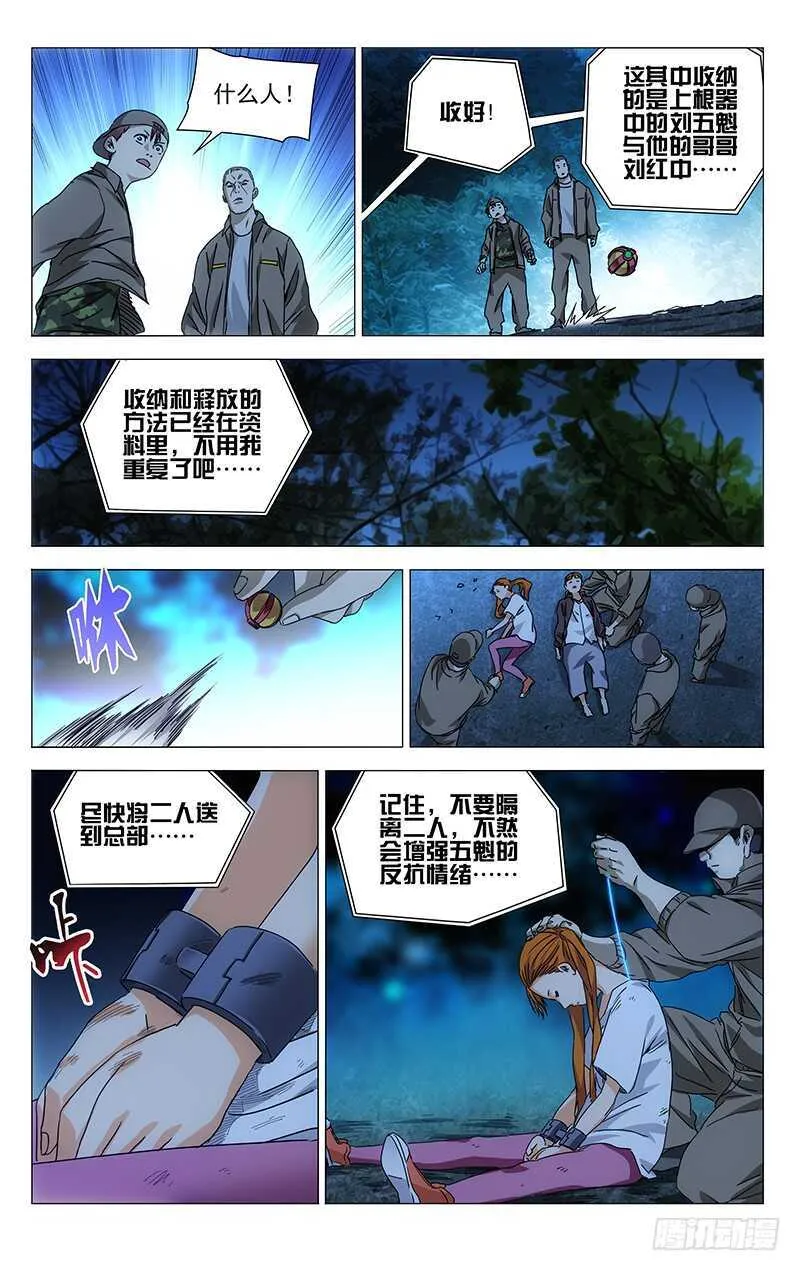 291 肉灵芝 第9页