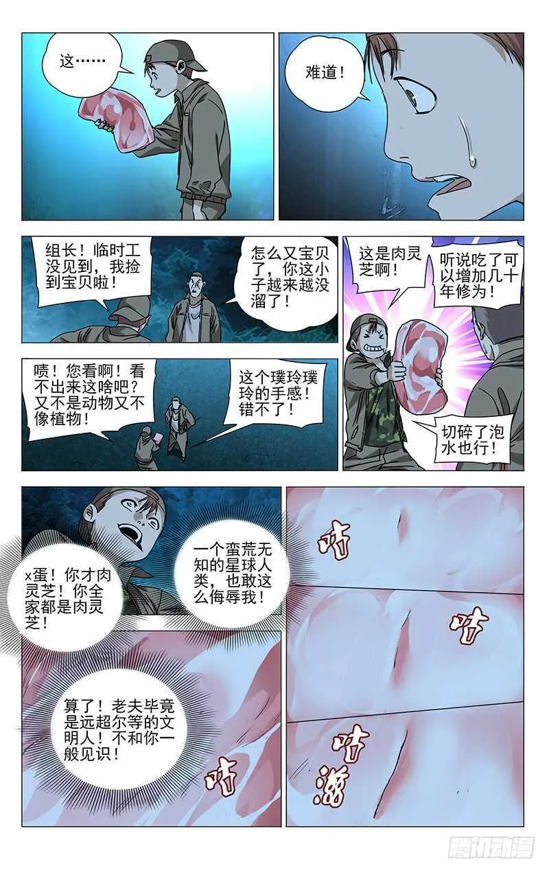 291 肉灵芝 第11页