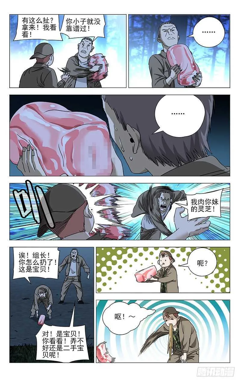 291 肉灵芝 第12页