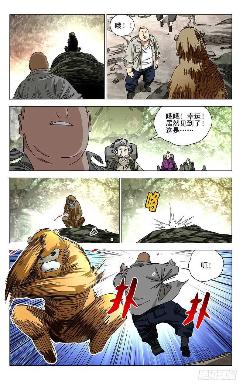 328.国家一级保护动物 第1页
